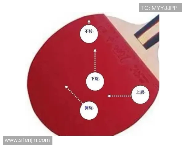 乒乓球新手必看:快速掌握技巧与战术的全面入门指南