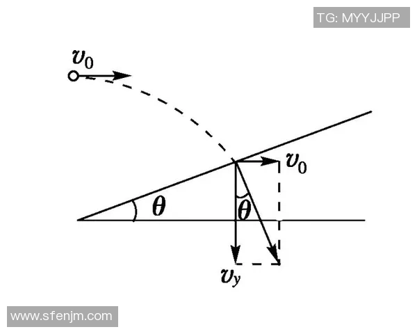 武汉乒乓球队在欧锦赛中的速度表现分析与点评