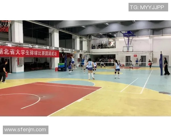 武汉排球队引领排球技术新潮流十大创新技巧解析