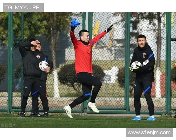 深圳羽毛球队的崛起之路与训练状态全解析