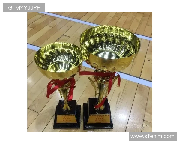 深圳羽毛球队力量之争引发热议背后的真相与思考 深圳羽毛球队力量之争引发热议背后的真相与思考