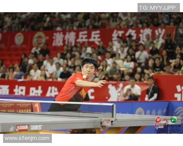 杨伟独家：分享乒乓球心得