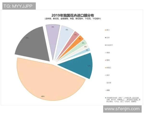 独家分析：上海足球队的实力对比